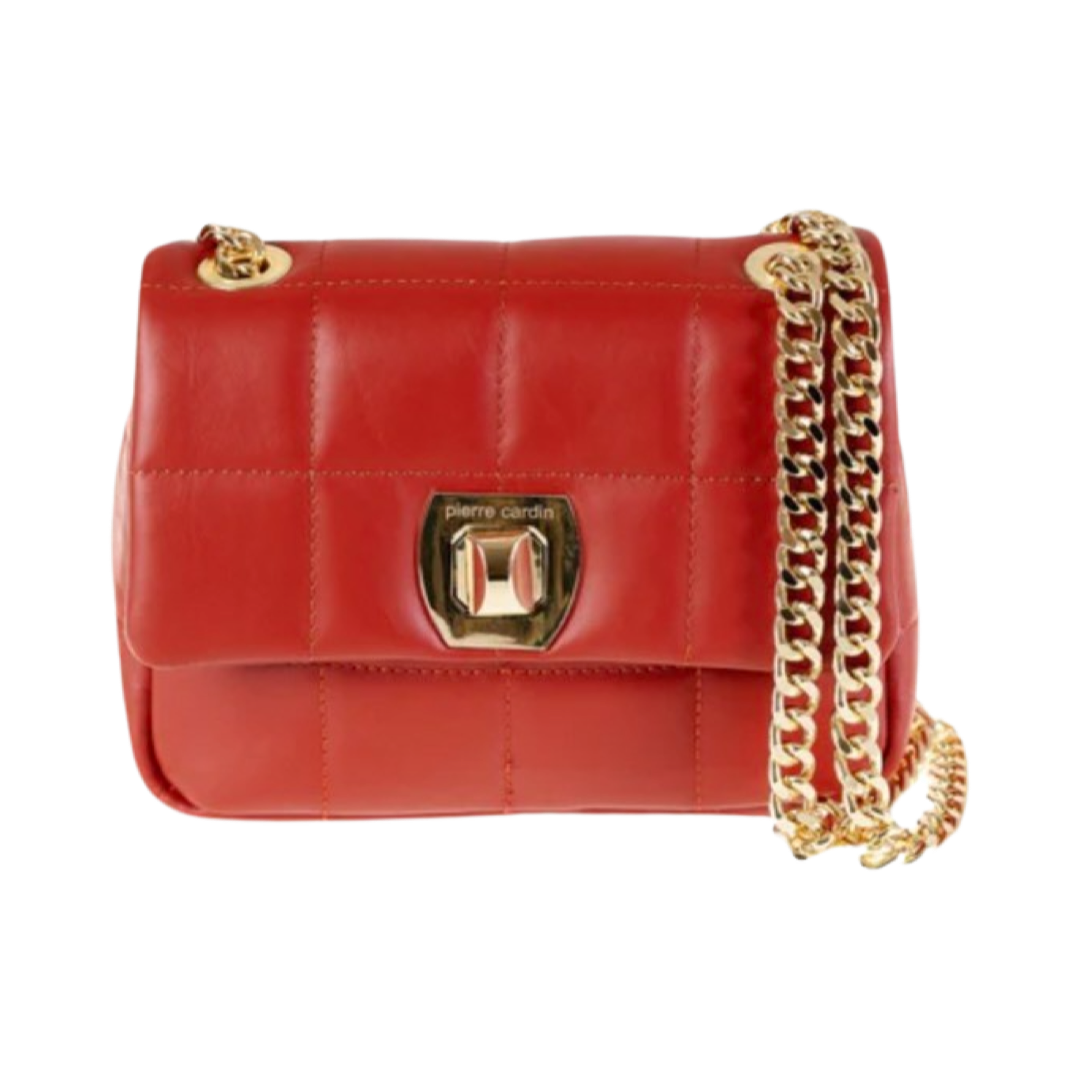 Quilted crossbody leather bag with chain handle and logo closure.