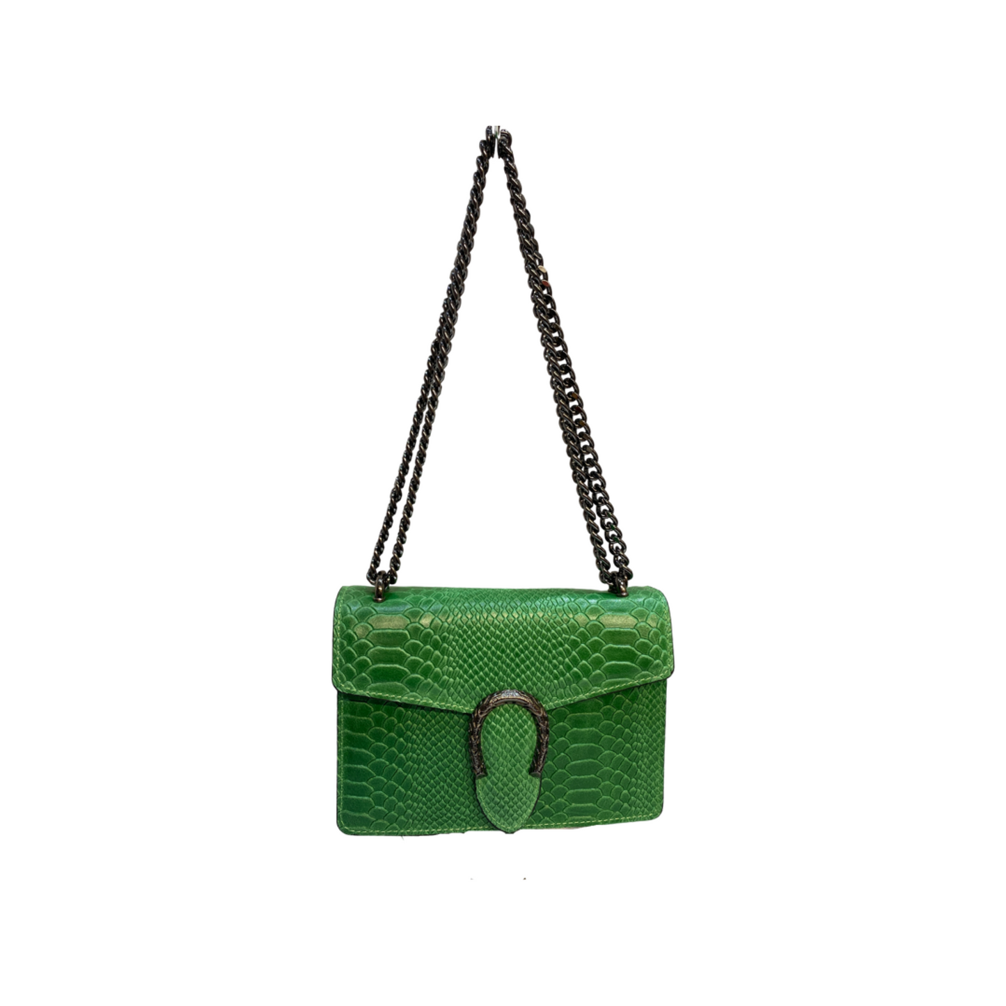 Small crossbody leather bag with chain strap and tiger hardware.